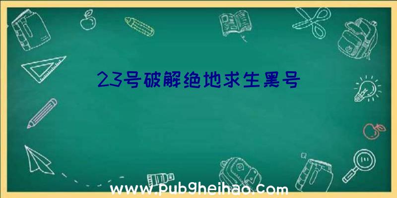 23号破解绝地求生黑号