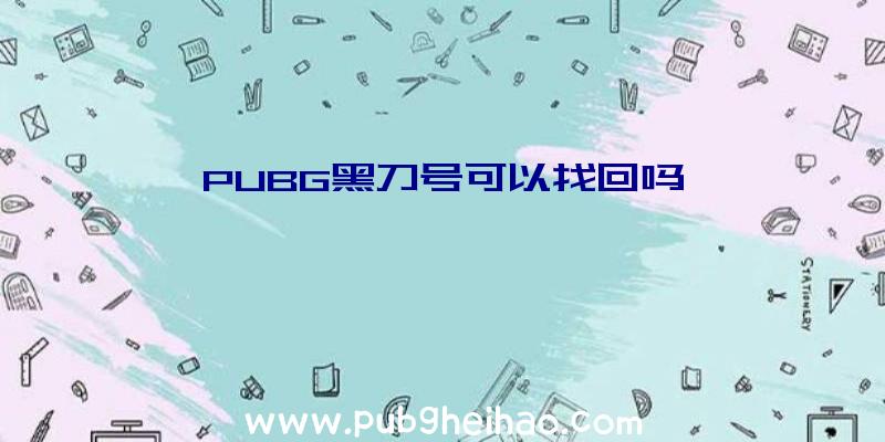 PUBG黑刀号可以找回吗