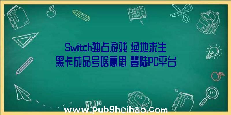 Switch独占游戏《绝地求生黑卡成品号啥意思》登陆PC平台，支持中文