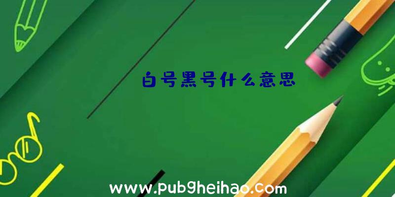 pubg白号黑号什么意思