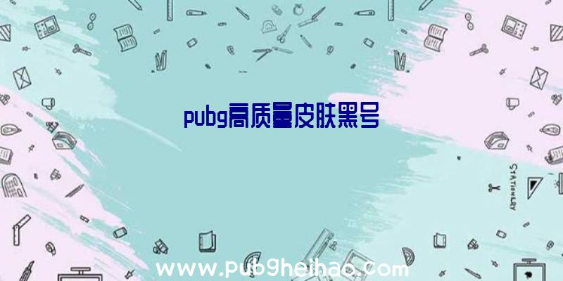 pubg高质量皮肤黑号