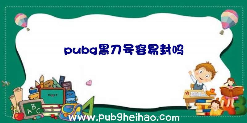 pubg黑刀号容易封吗