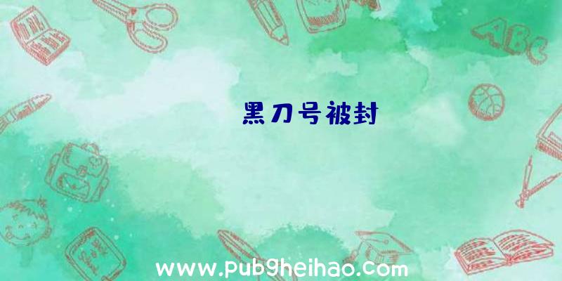 pubg黑刀号被封