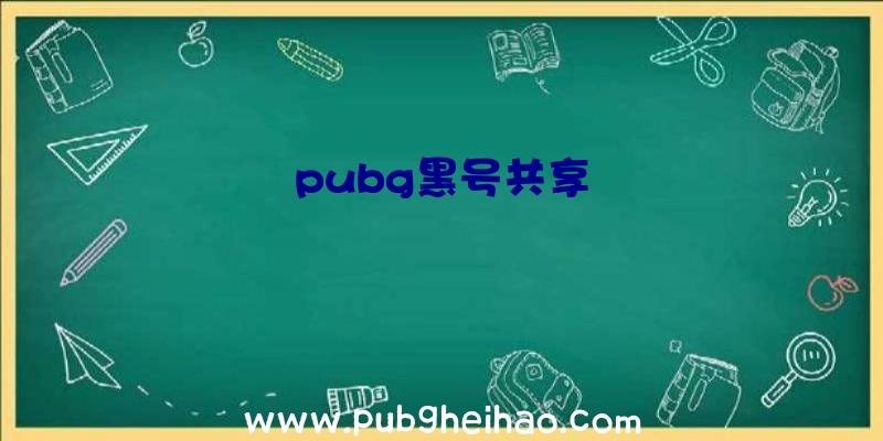 pubg黑号共享