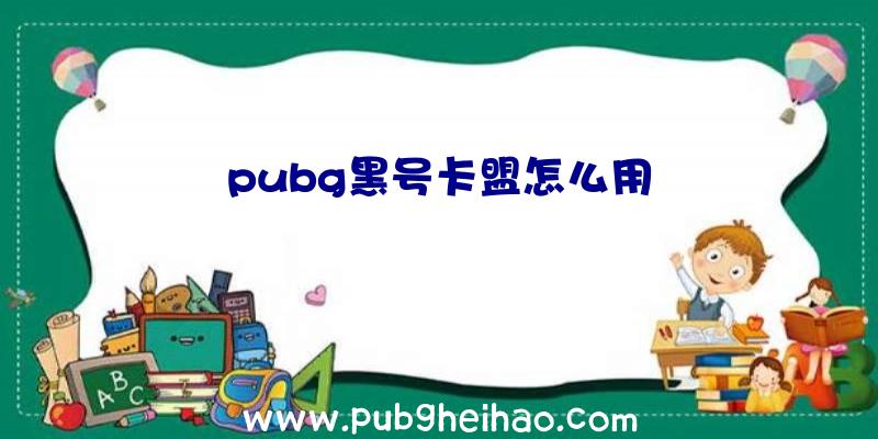 pubg黑号卡盟怎么用