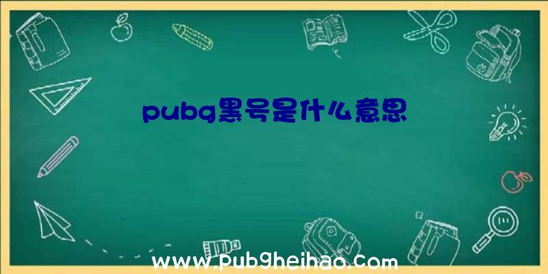 pubg黑号是什么意思