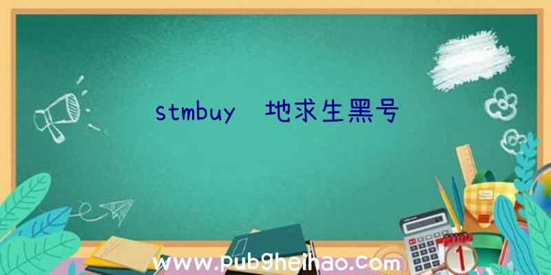 stmbuy绝地求生黑号