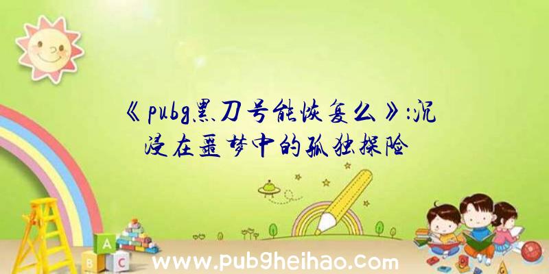 《pubg黑刀号能恢复么》：沉浸在噩梦中的孤独探险