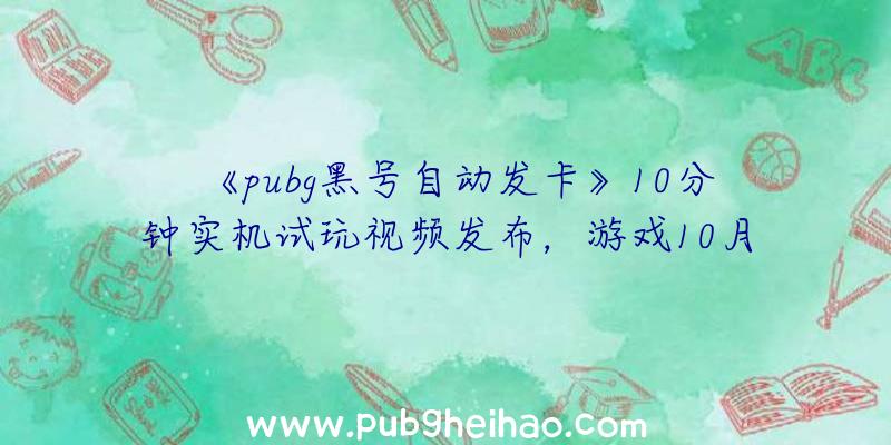 《pubg黑号自动发卡》10分钟实机试玩视频发布，游戏10月27日登陆多平台