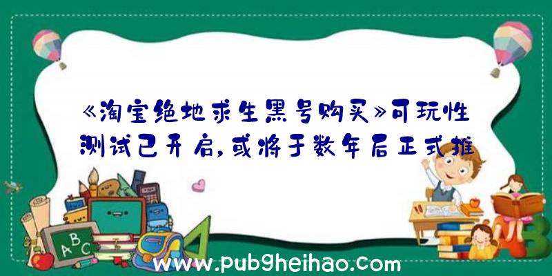 《淘宝绝地求生黑号购买》可玩性测试已开启，或将于数年后正式推出