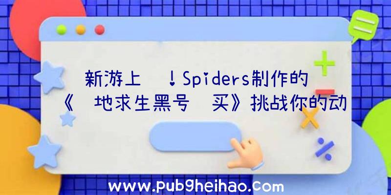 新游上线！Spiders制作的《绝地求生黑号购买》挑战你的动作技能和战略智慧