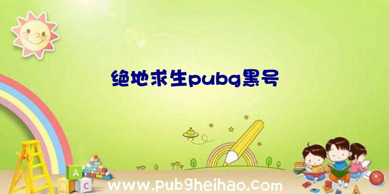 绝地求生pubg黑号