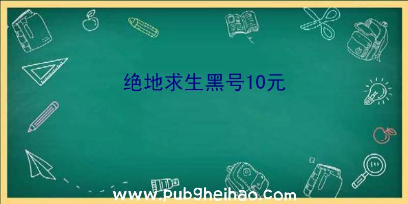 绝地求生黑号10元