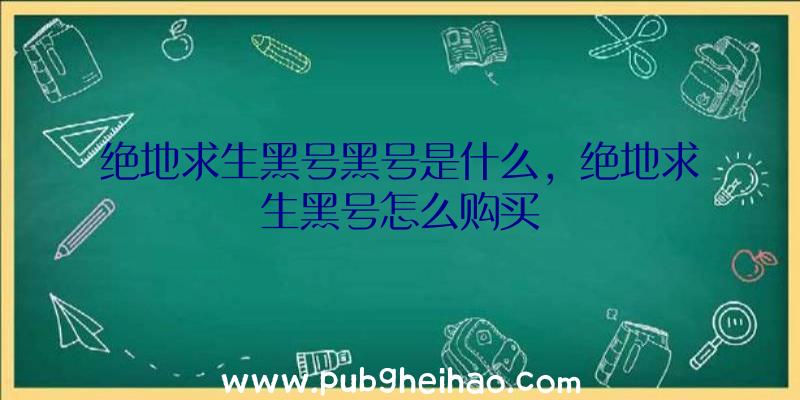 绝地求生黑号黑号是什么，绝地求生黑号怎么购买