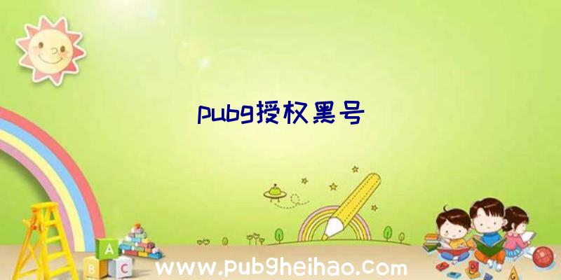 pubg授权黑号