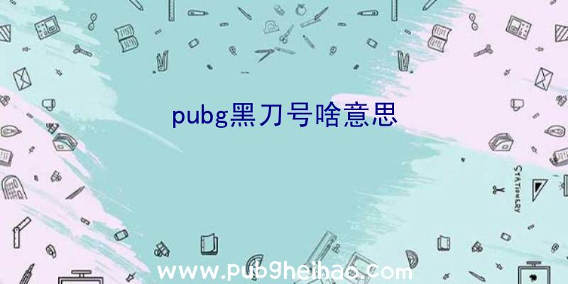 pubg黑刀号啥意思