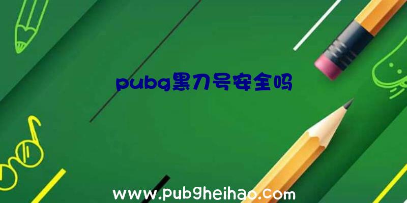 pubg黑刀号安全吗