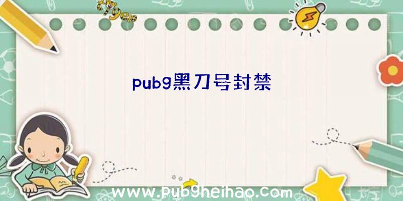 pubg黑刀号封禁