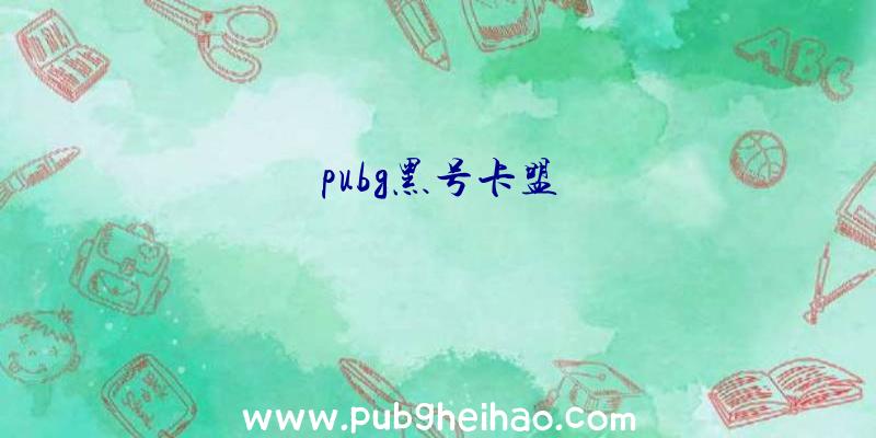 pubg黑号卡盟