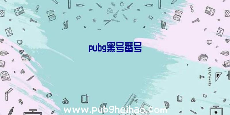 pubg黑号番号