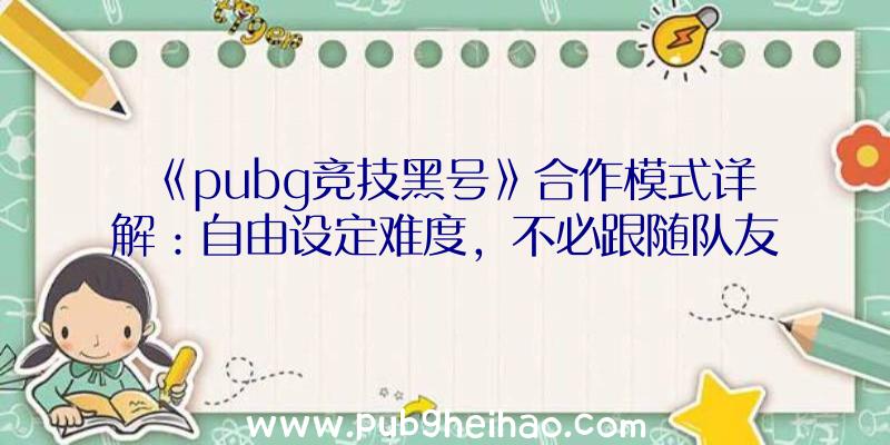 《pubg竞技黑号》合作模式详解：自由设定难度，不必跟随队友行动