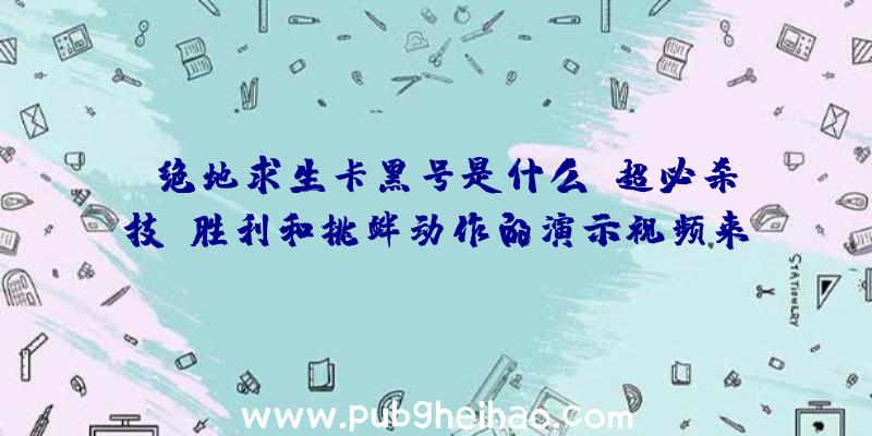 《绝地求生卡黑号是什么》超必杀技、胜利和挑衅动作的演示视频来了！