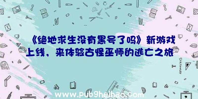 《绝地求生没有黑号了吗》新游戏上线，来体验古怪巫师的逃亡之旅！