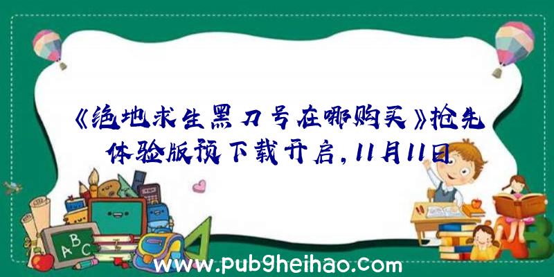 《绝地求生黑刀号在哪购买》抢先体验版预下载开启，11月11日上线！