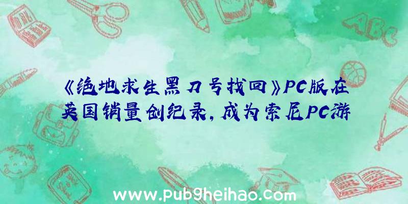 《绝地求生黑刀号找回》PC版在英国销量创纪录，成为索尼PC游戏营收的重要组成部分