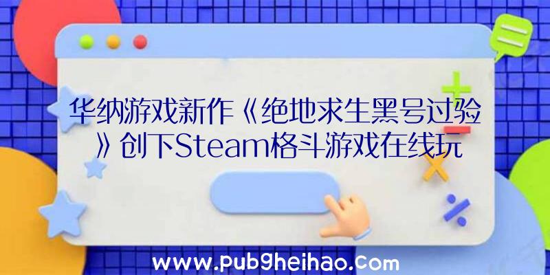 华纳游戏新作《绝地求生黑号过验》创下Steam格斗游戏在线玩家之最