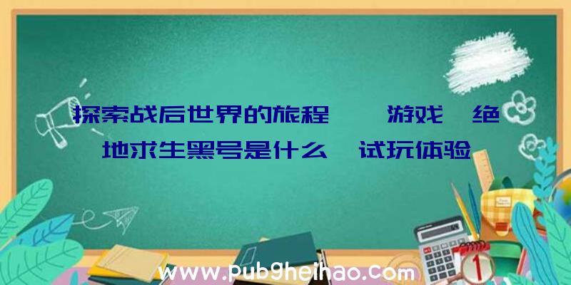 探索战后世界的旅程——游戏《绝地求生黑号是什么》试玩体验