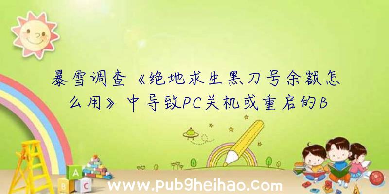 暴雪调查《绝地求生黑刀号余额怎么用》中导致PC关机或重启的Bug