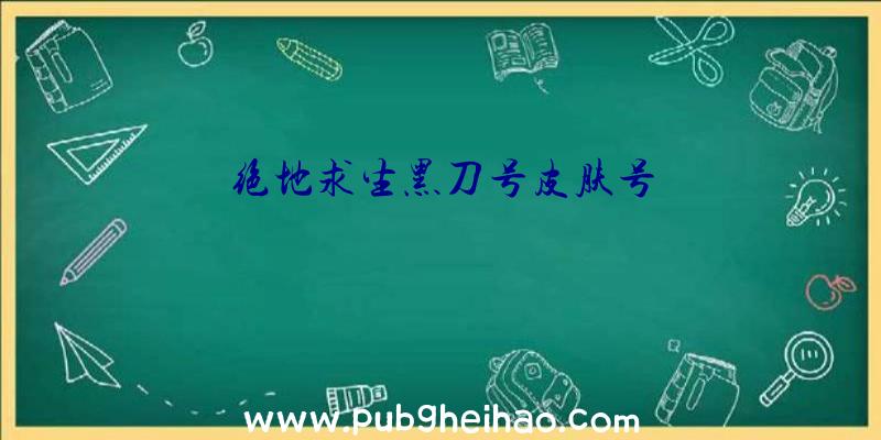 绝地求生黑刀号皮肤号