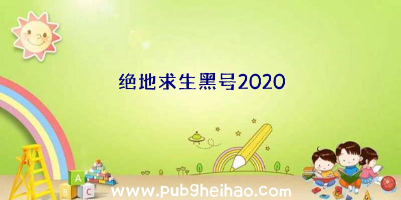 绝地求生黑号2020